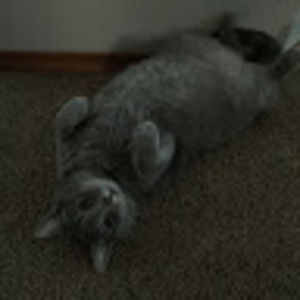 Meet your Posher, Cathy